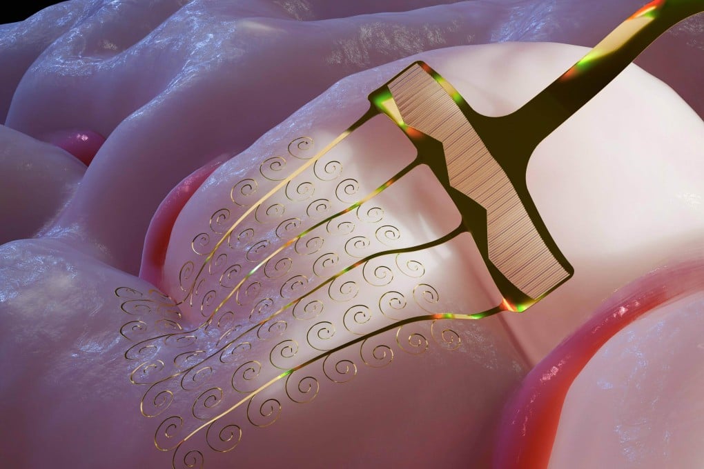 Chinese scientists said the design of their stretchable microelectrodes was inspired by the Japanese art of paper cutting. Photo: ScienceNet