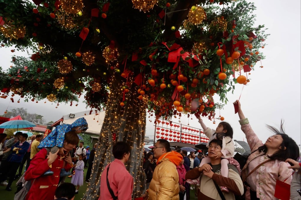 Local residents and tourists flocked to the wishing tree in Tai Po on the first day of the Lunar New Year. Photo: Jonathan Wong