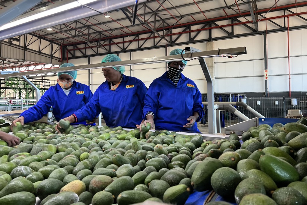 South African exports to China include fruit, grains, wine, rooibos tea and minerals. Photo: China News Service via Getty Images