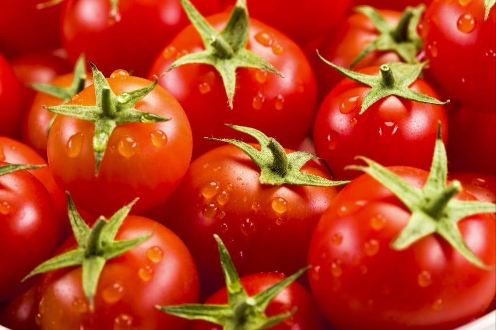 China produces more than a third of the world’s tomatoes. Photo: Shutterstock