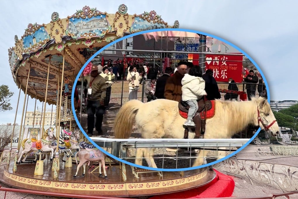 A scenic spot in China has stirred outrage for featuring real horses in a carousel ride, raising concerns about animal welfare and public safety. Photo: SCMP composite/Shutterstock/Douyin