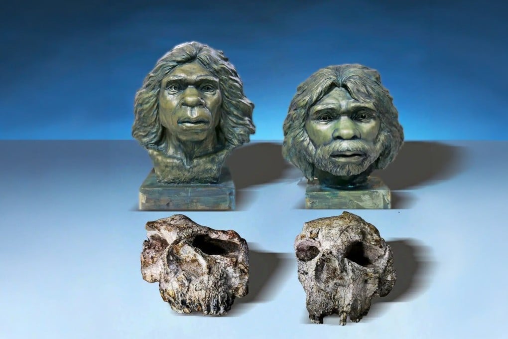 A reconstruction of the Yunxian hominin skulls tested in the latest study. Photo: Xiaobo Feng