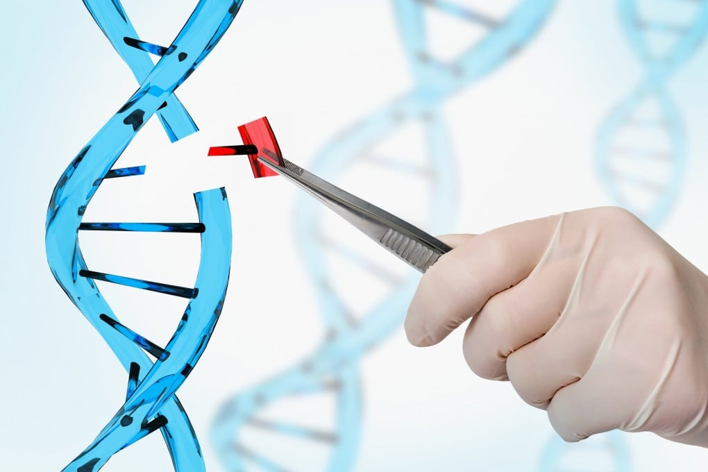 The scientists used a new gene-editing tool to correct the mutation in mice. Photo: Shutterstock
