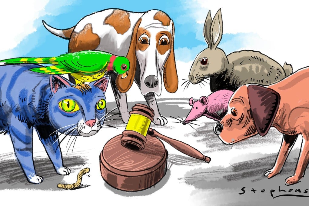 Illustration: Craig Stephens