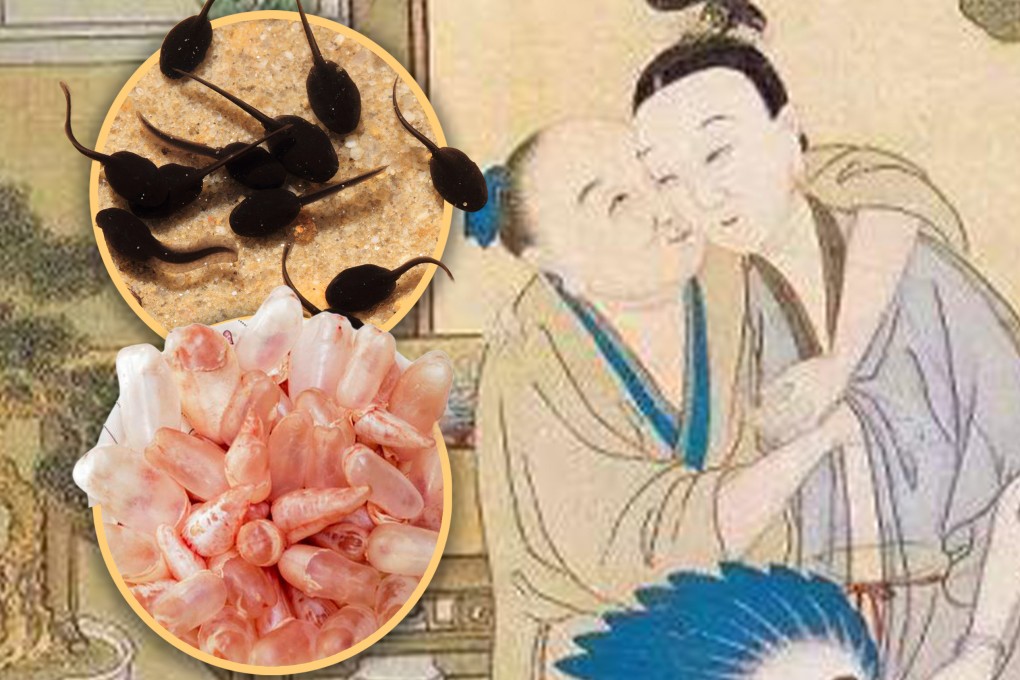 Over 3,000 years ago, ancient Chinese women faced harsh realities when preventing pregnancy, turning to dangerous remedies. Photo: SCMP composite/Shutterstock/Sohu/Douyin