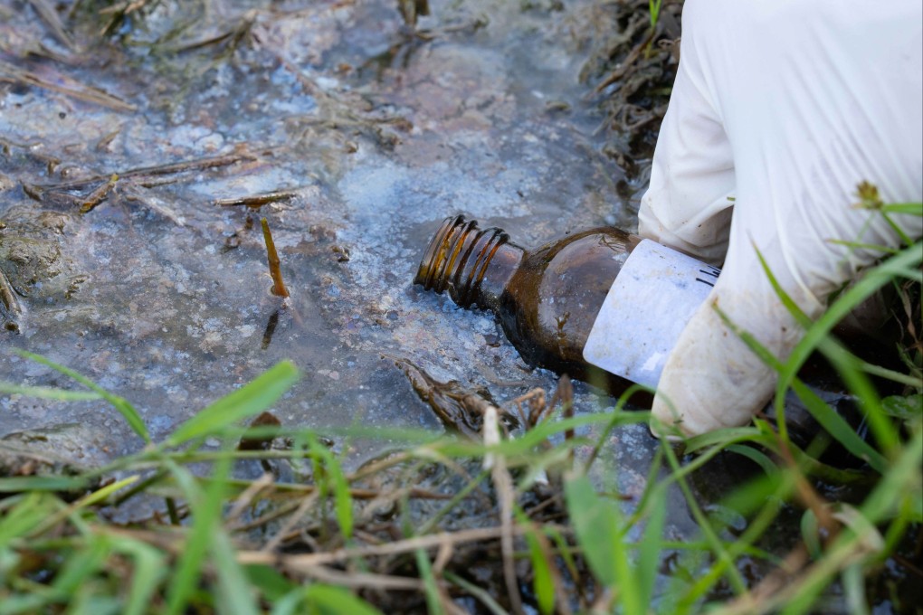 Seventy per cent of the 18 soil and water samples collected from affected wetlands in South Lantau’s Pui O showed significantly higher petroleum hydrocarbon levels, a study has found. Photo: Handout