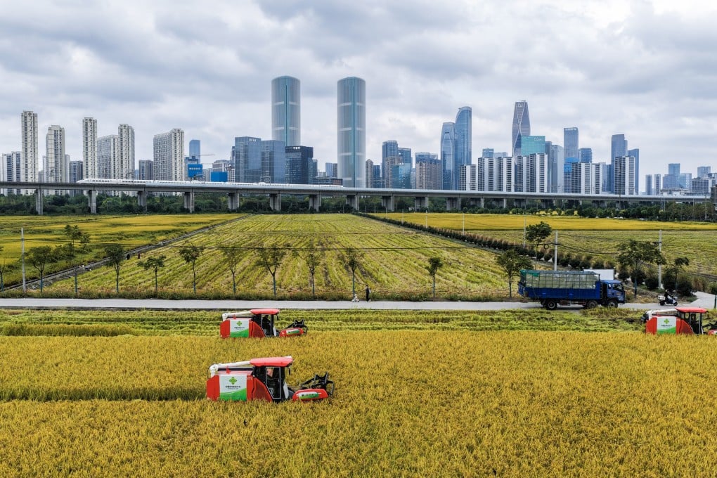 Workers harvest rice in China’s Zhejiang province in October. Photo: Xinhua
