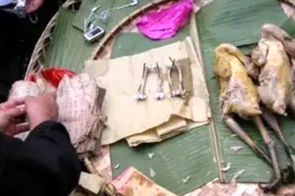 In a ritual practised by various ethnic minority groups in China, chicken bone divination uses the leg of a small rooster to predict fortunes. Photo: Sohu