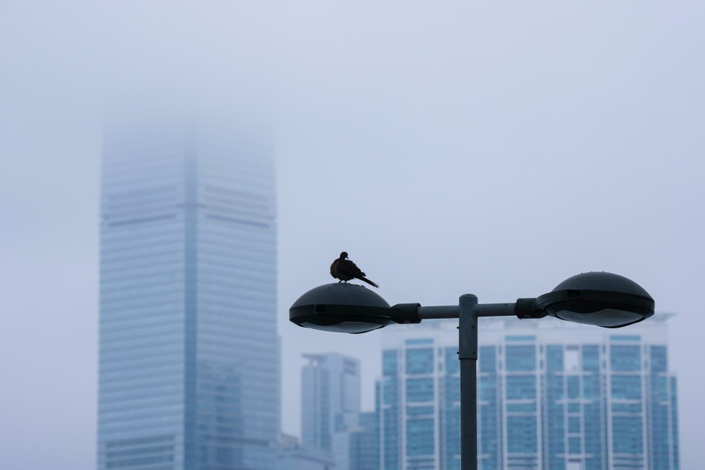 Humidity in Hong Kong is expected to hit 95 per cent by midweek. Photo: Karma Lo