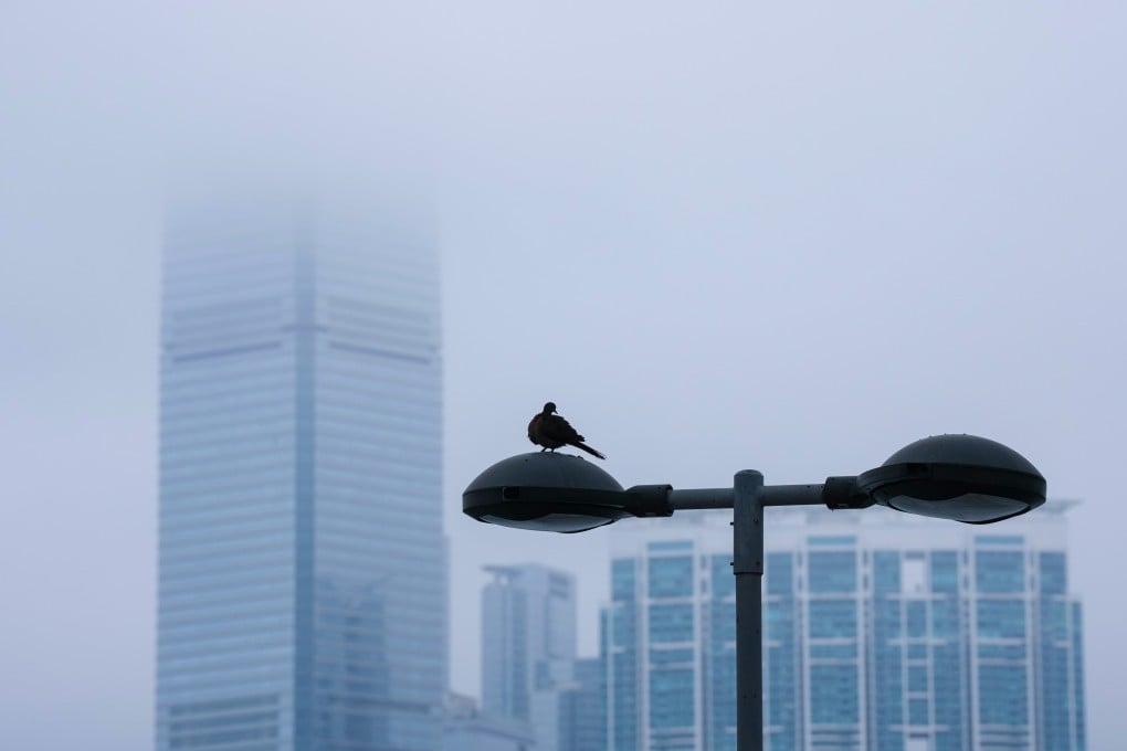 Humidity in Hong Kong is expected to hit 95 per cent by midweek. Photo: Karma Lo