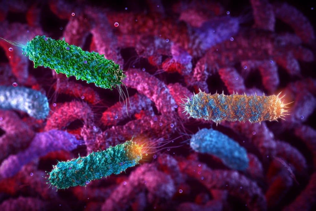 In a paper published on Wednesday, Chinese scientists say they engineered the E coli Nissle 1917 (EcN) probiotic strain to produce the anticancer agent Romidepsin for a drug delivery method. Image: Shutterstock