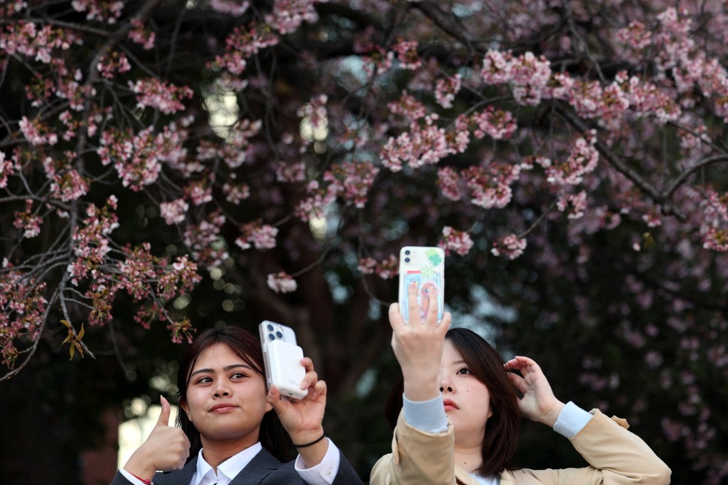 Visitors take selfies in front of the early-flowering cherry blossoms at Ueno Park in Tokyo on Tuesday. Photo: Reuters