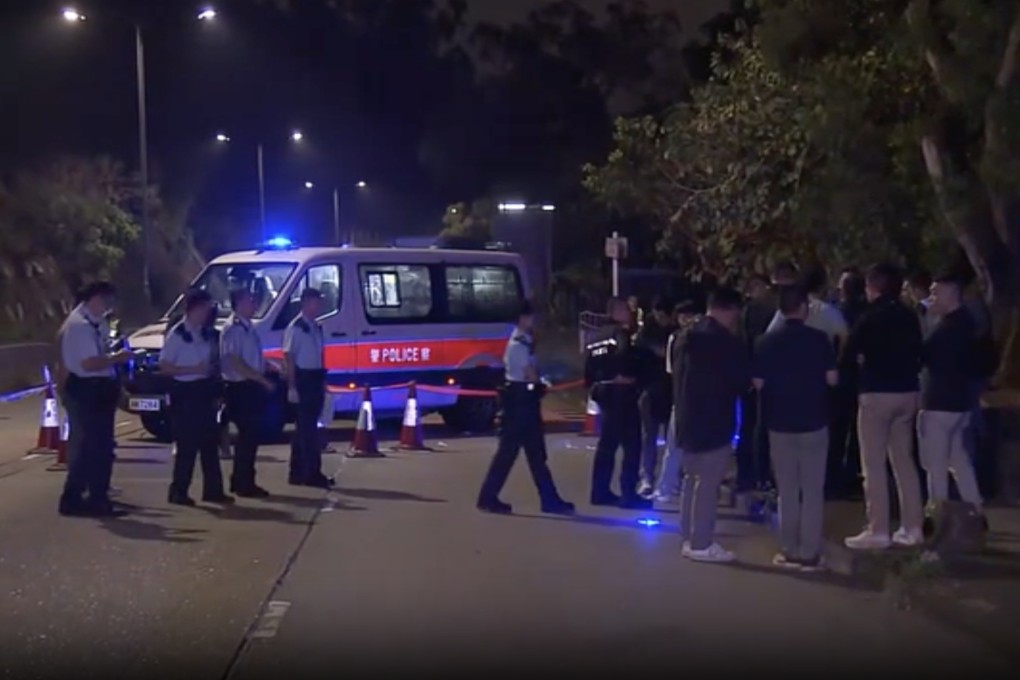 A screengrab of footage of the scene following the confrontation. Photo: Handout