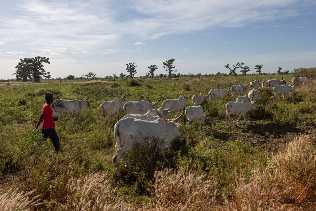 In Africa, the squeeze on fertiliser imports because of the US-Israel war on Iran comes at a crucial time, at the start of the rains and the planting season. Photo: AP