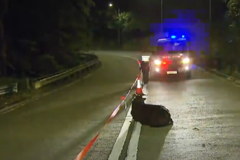 A cow lies injured on Route Twisk near Memorial Pavilion after being struck by a car – one of several recent animal incidents. Photo: Police handout