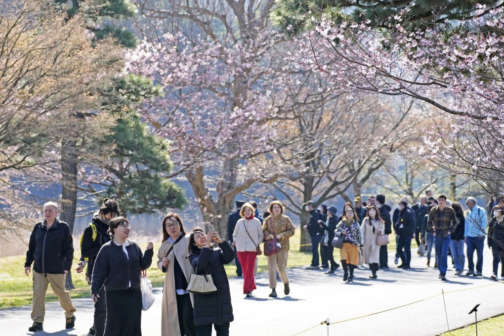 Visitors view cherry blossoms as a section of the Imperial Palace grounds in Tokyo is opened to the public on Saturday. Photo: Kyodo