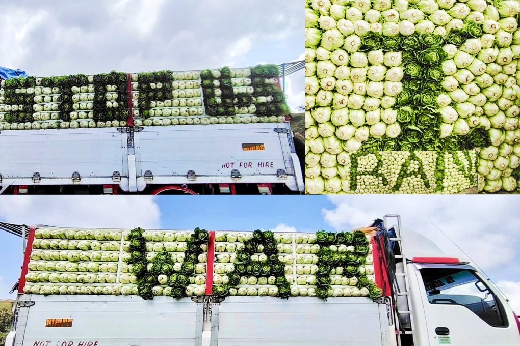 Philippine farmer Elmer Ullani spells out “Stop US-Iran War” with his cabbages after having to spend almost all of the money he had earned at the market to pay for the fuel needed to get him there and back. Photo: Facebook / Elmer Ullani