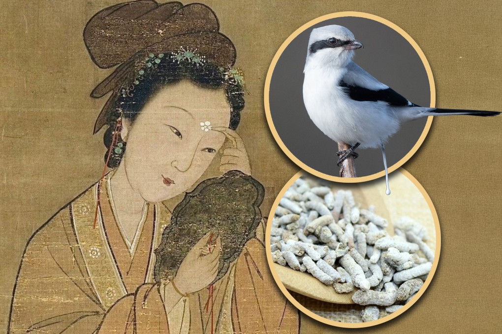 In ancient China, using animal excrement in beauty routines was common and Empress Dowager Cixi was known to use bird droppings for skincare. Photo: SCMP composite/Shutterstock/Weibo/Baidu