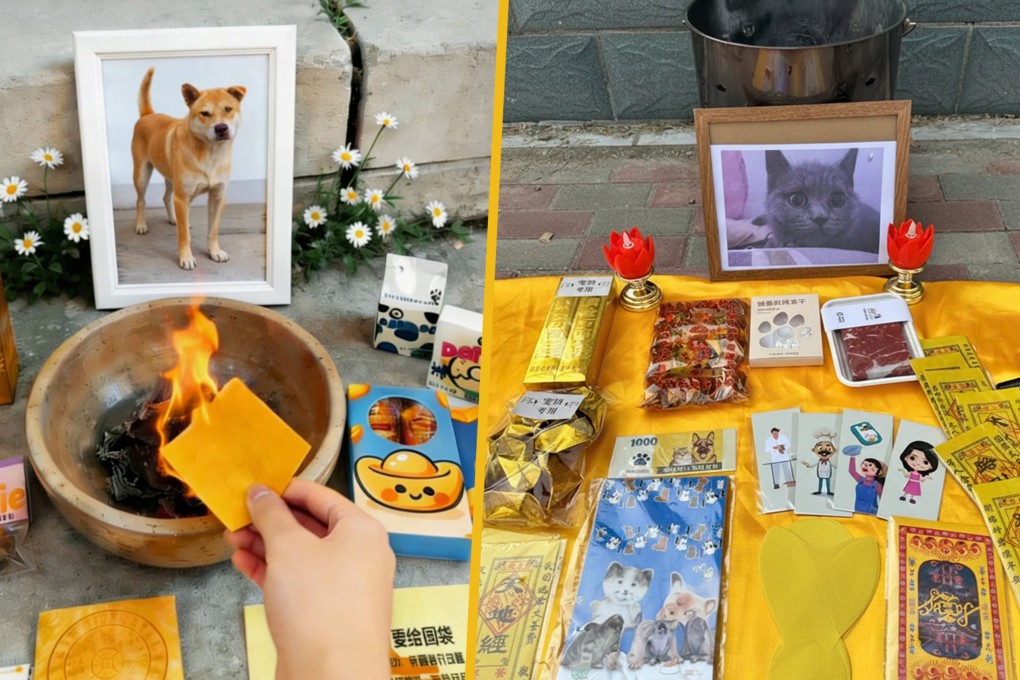 The rising popularity of pet funeral services in China signifies a growing trend where owners seek elaborate send-offs for their pets, including unique paper offerings like gourmet foods and cremation services. Photo: SCMP composite/RedNote