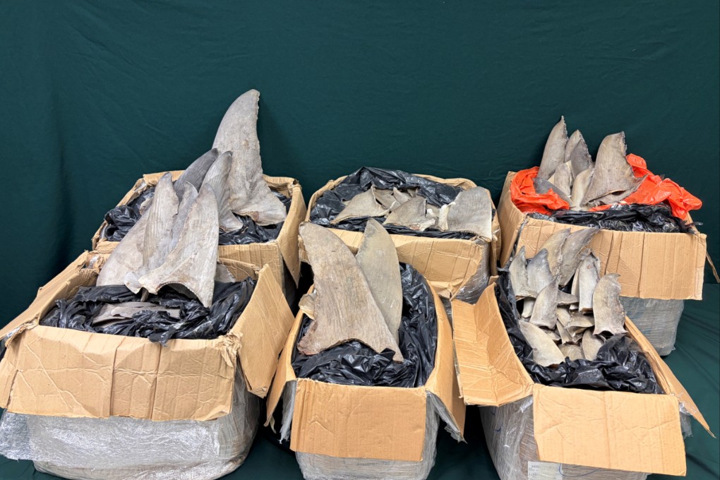 Officers found six boxes of suspected scheduled dried shark fins, weighing about 162kg in a shipment from Panama. Photo: Handout