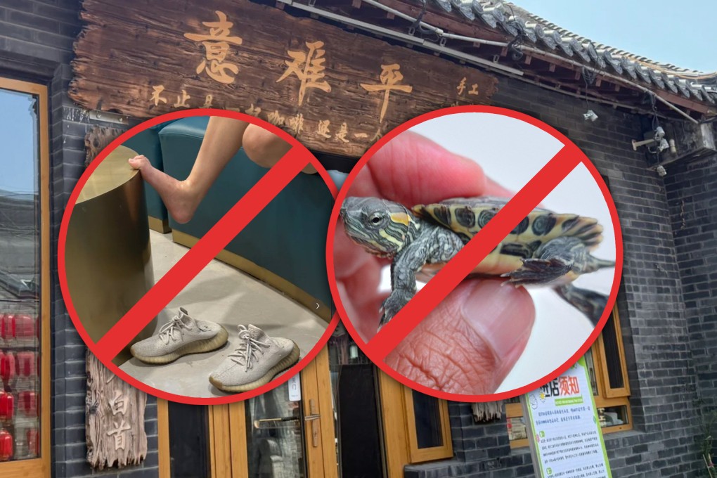 A café in China has gone viral for its eccentric 700-character “entry rules” which prohibit everything from littering and wearing black stockings to stealing tiny turtles, smoking and playing cards. Photo: SCMP composite/Shutterstock/RedNote