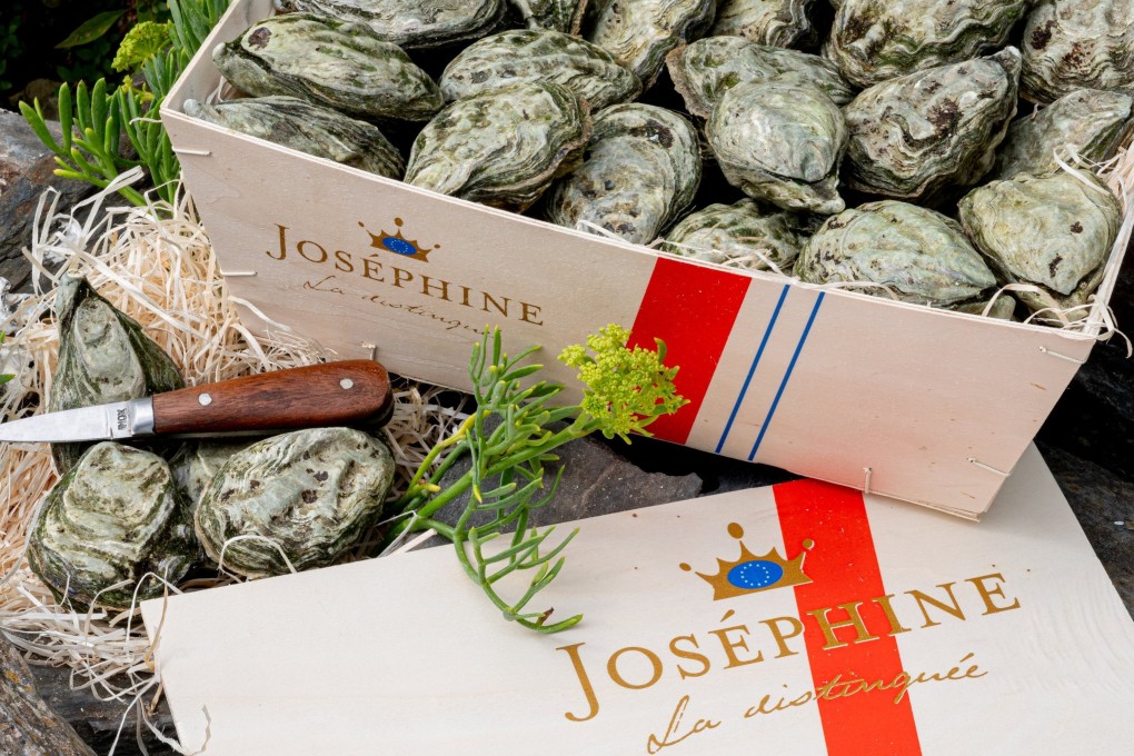 Hong Kong food safety authorities have ordered an immediate halt to the sale of oysters from French brand Josephine. Photo: Handout