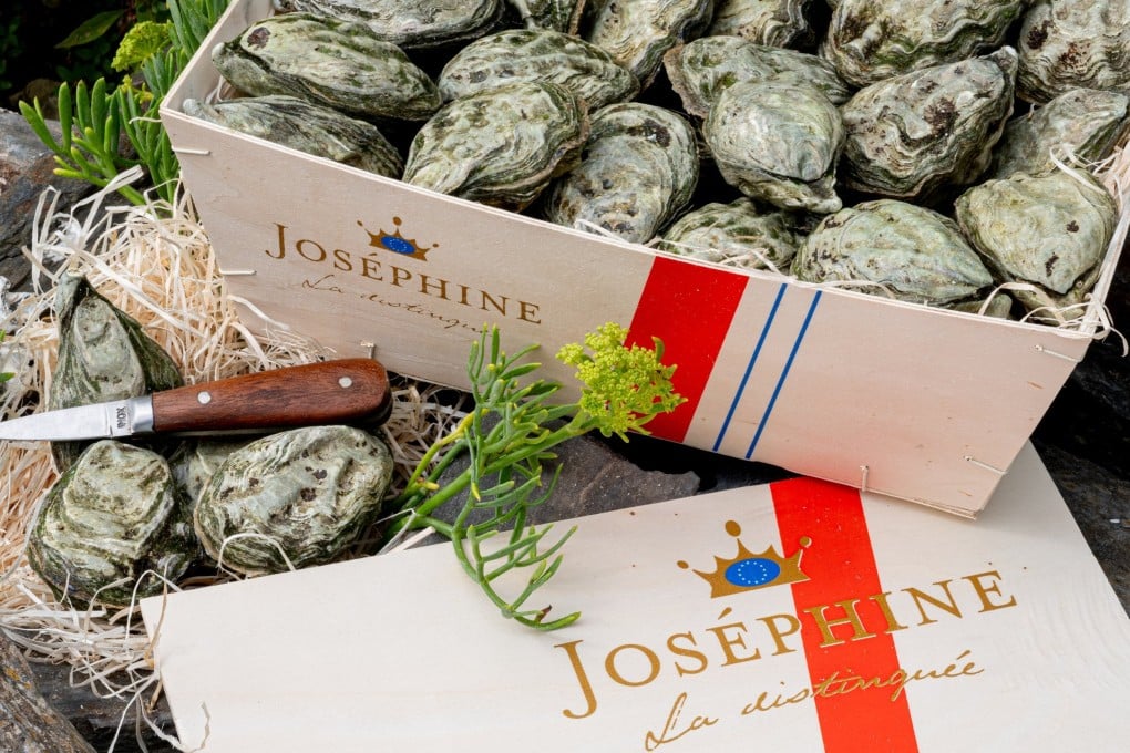 Hong Kong food safety authorities have ordered an immediate halt to the sale of oysters from French brand Josephine. Photo: Handout