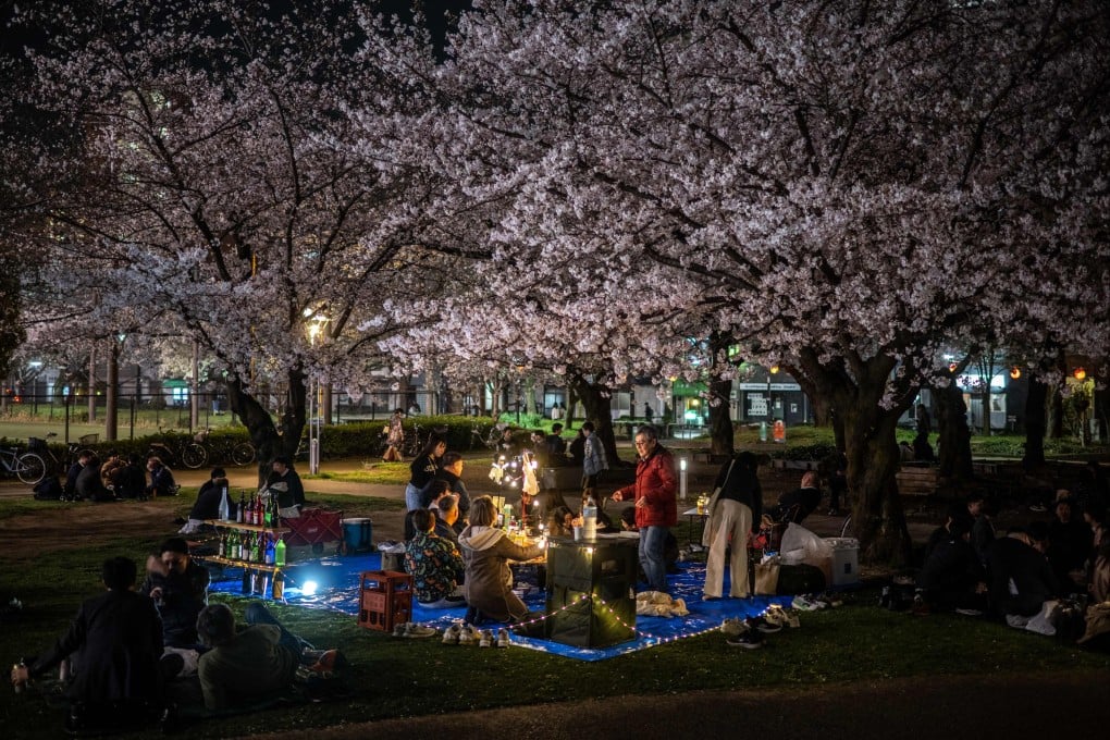 People gather for cherry blossom viewing, also known as “hanami”, at Kinshi Park in Tokyo on March 30. Photo: AFP