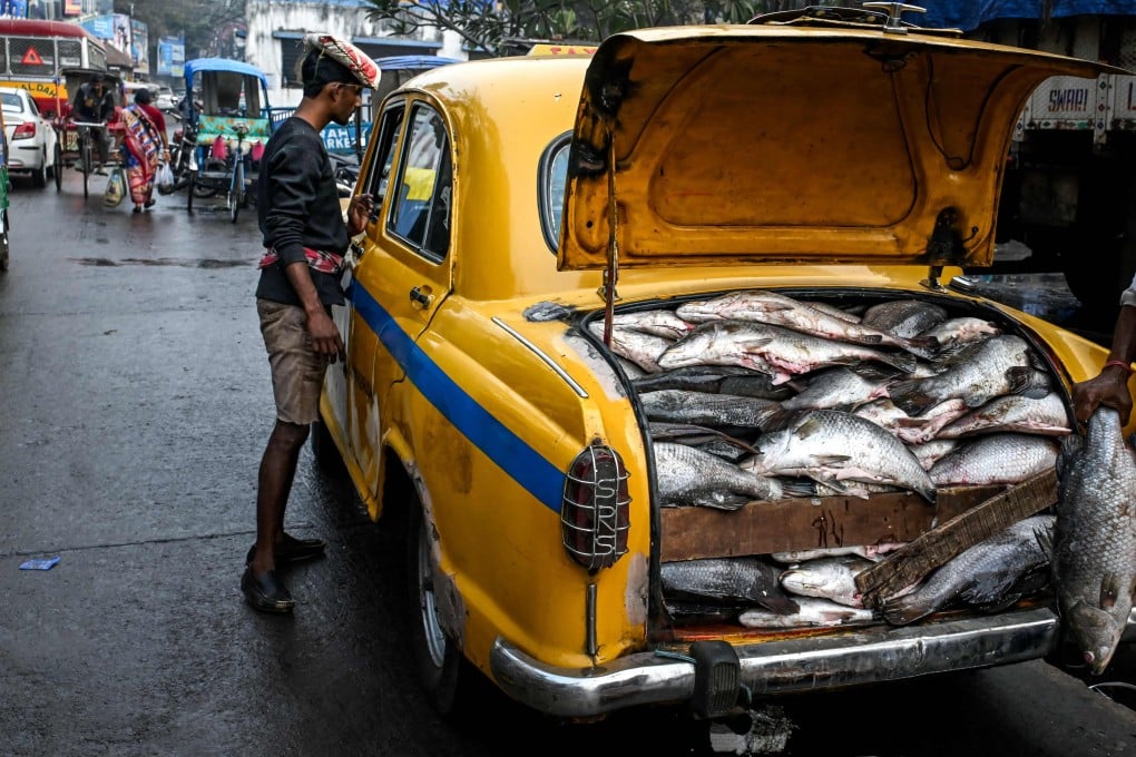 A labourer inspects a Hindustan Ambassador yellow taxi, transporting fish at a wholesale market on January 30, in Kolkata, West Bengal state, India. Photo: AFP