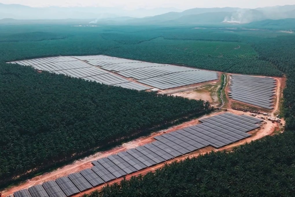 A solar farm in Malaysia is seen in this still from a social media video shared by Solarvest Group. Photo: Instagram/solarvestgroup