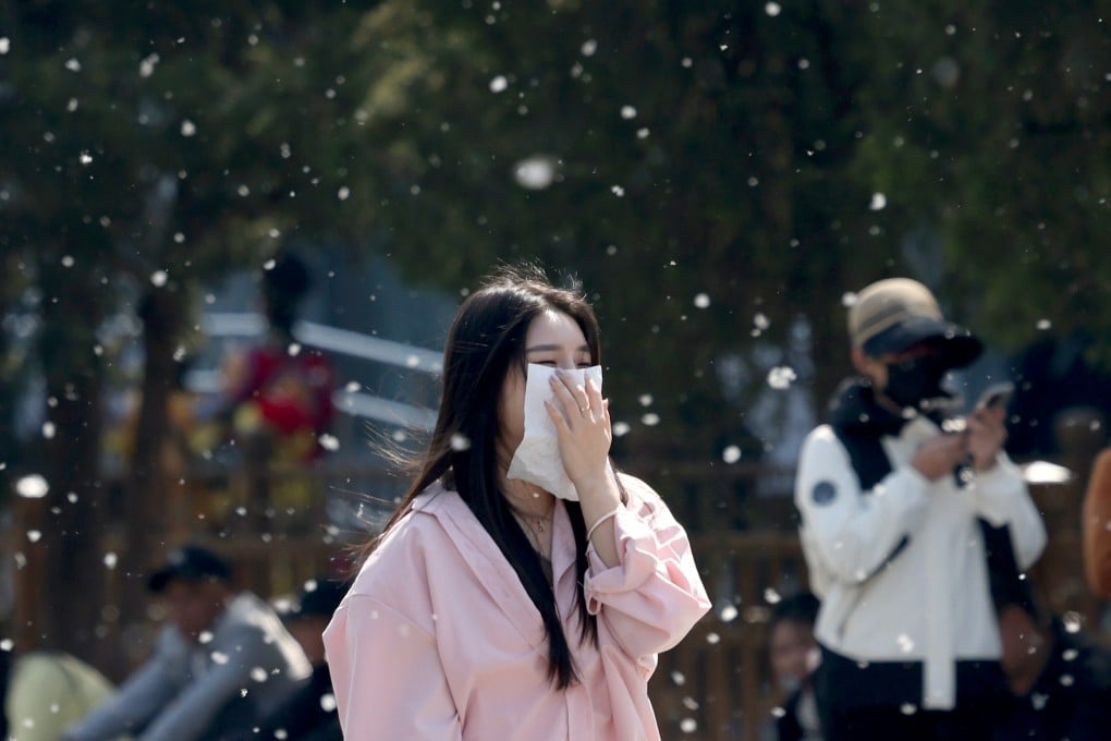 Tantangan Alergi Musiman di Beijing: Sterilisasi Pohon Jadi Solusi Lingkungan