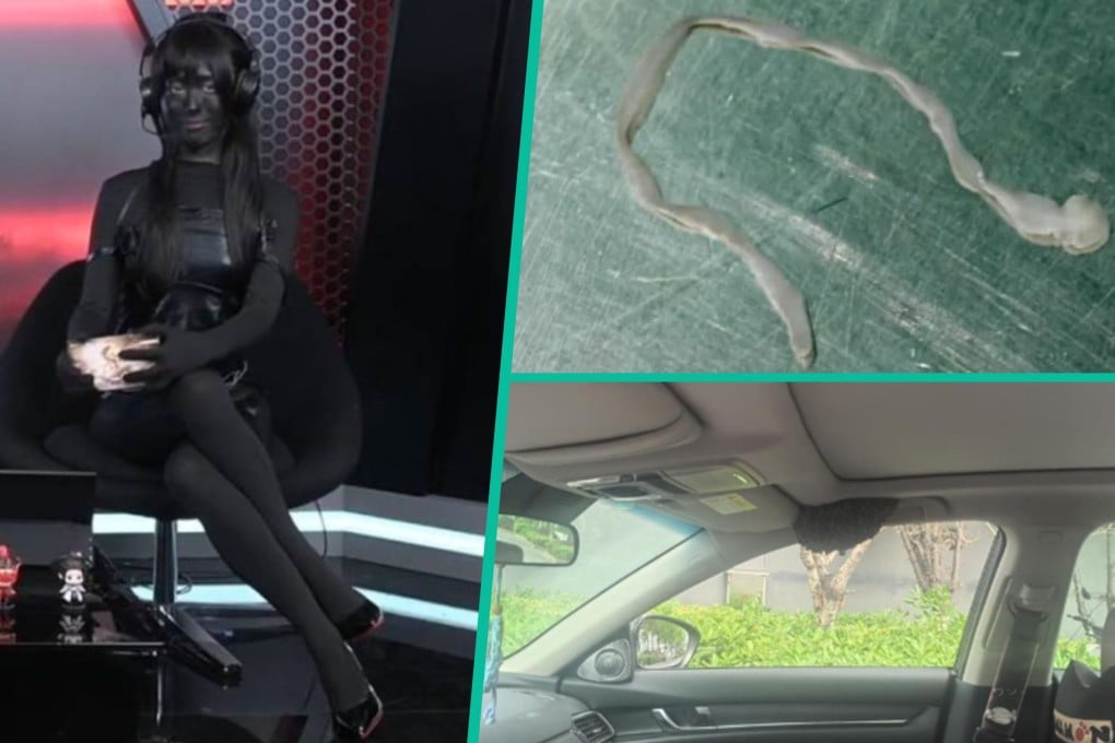Quirky China: Doctors have removed a worm from a woman’s brain; a gamer faced a backlash for her extreme body modifications and a passenger left their car window open, causing bees to build a honeycomb inside the vehicle. Photo: SCMP composite/Weibo/Baidu/QQ.com