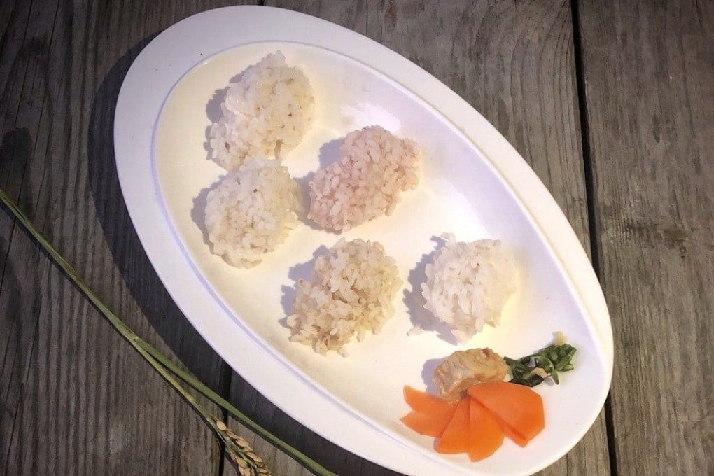 Five types of local Hong Kong rice are presented at a rice tasting meeting. A new book and exhibition shines a light on Hong Kong’s local rice varieties. Photo: Instagram/giftfromland