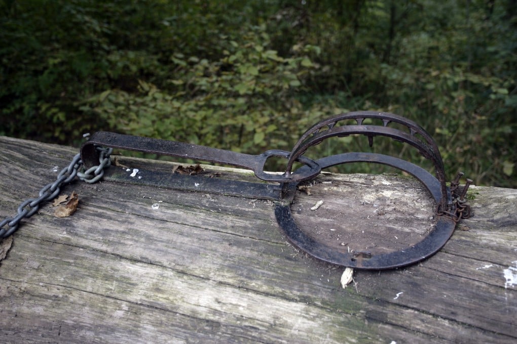 The ombudsman has also called for  strengthening penalties against illegal animal traps. Photo: ISD