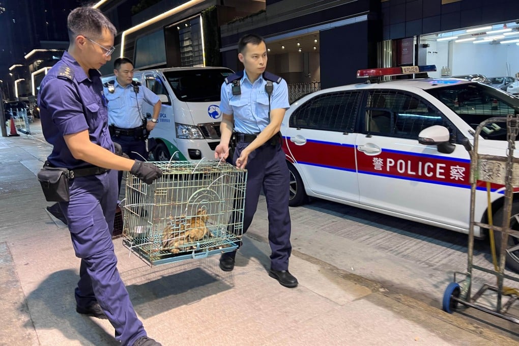 Hong Kong is planning joint police operations to enter premises in suspected animal cruelty cases. Photo: SPCA