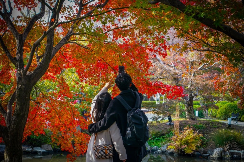 A couple admires the autumn leaves in Japan. Japanese youth are increasingly turning to matchmaking apps to find life partners. Photo: SOPA Images/LightRocket via Getty Images