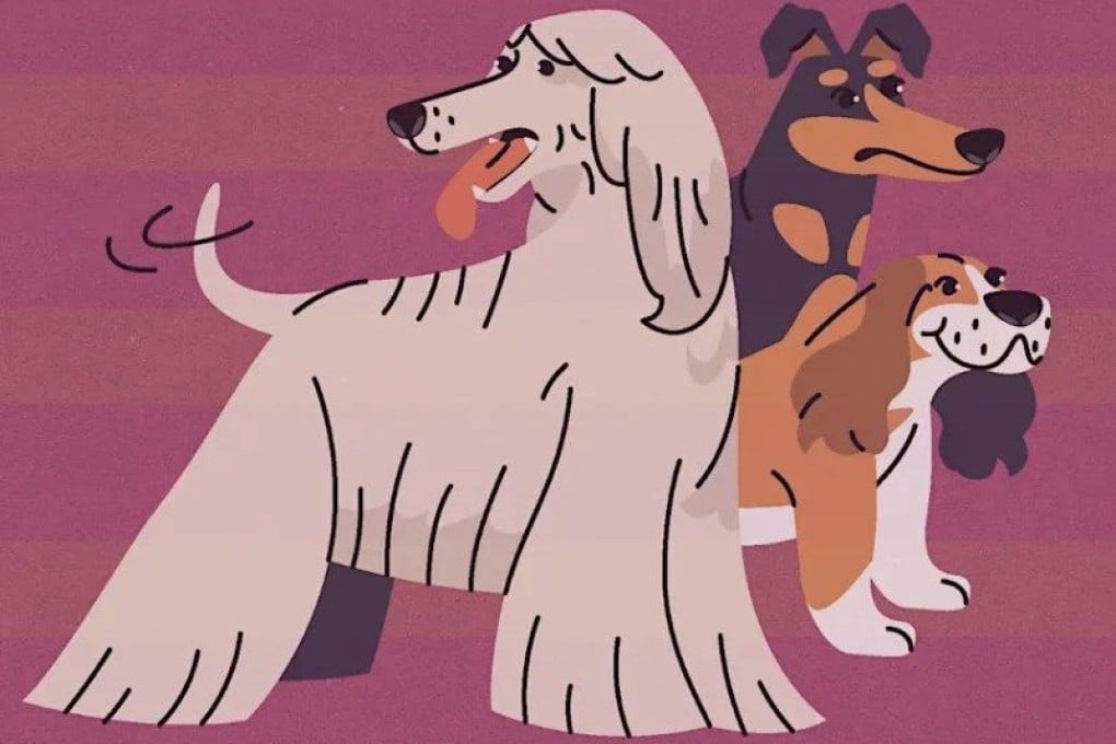 The Hive, in collaboration with Stray Friends Sai Kung, will host a dog adoption day and puppy yoga on April 25, 2026. Photo: the Hive Sai Kung/eventbrite