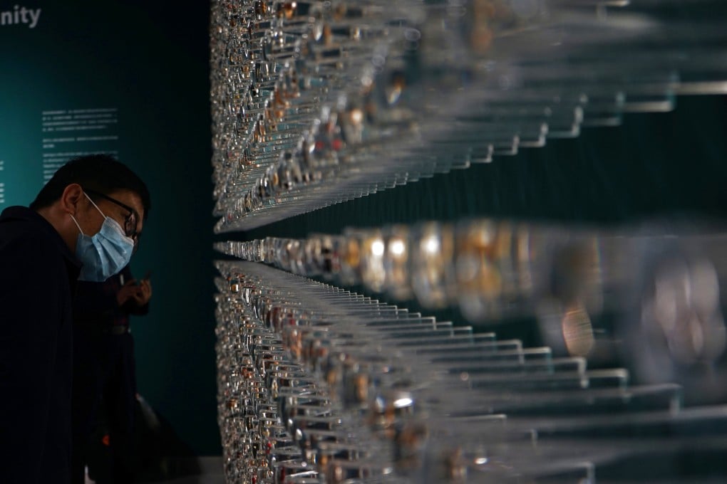 Different types of seeds on display in the botanical garden at Kunming in southwest China’s Yunnan Province. Photo: Xinhua