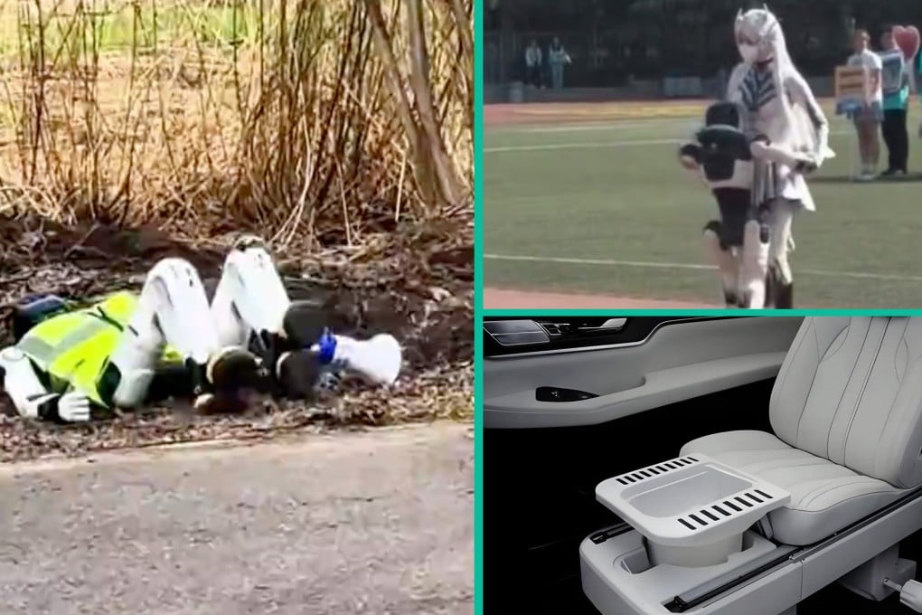 Quirky China: a robot, designed to prevent tourists from disturbing dandelions, enhanced its pesticide warnings by pretending to be dead; a malfunctioned bot embraced a young woman and patent for a voice-controlled in-car toilet approved. Photo: SCMP composite/Douyin/RedNote