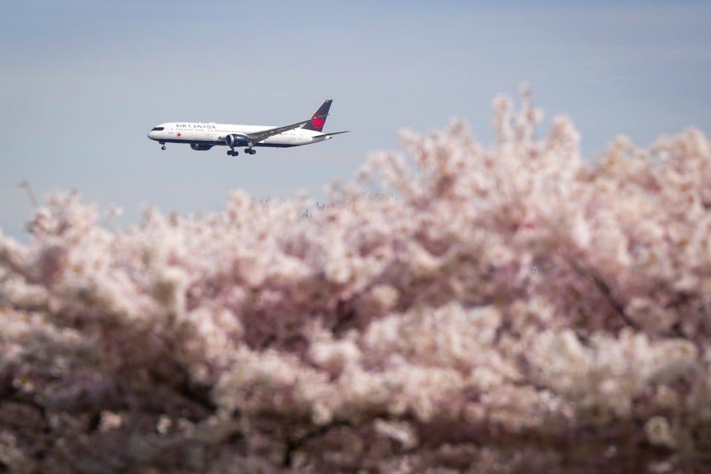 An Air Canada Boeing 787 aircraft passes by rows of cherry trees as it approaches Vancouver International Airport. Photo: AP
