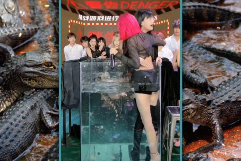A social media account with over 11 million followers has been banned for forcing female hosts to stay in a tank with a crocodile to capture their fearful reactions. Photo: SCMP composite/Shutterstock/Douyin