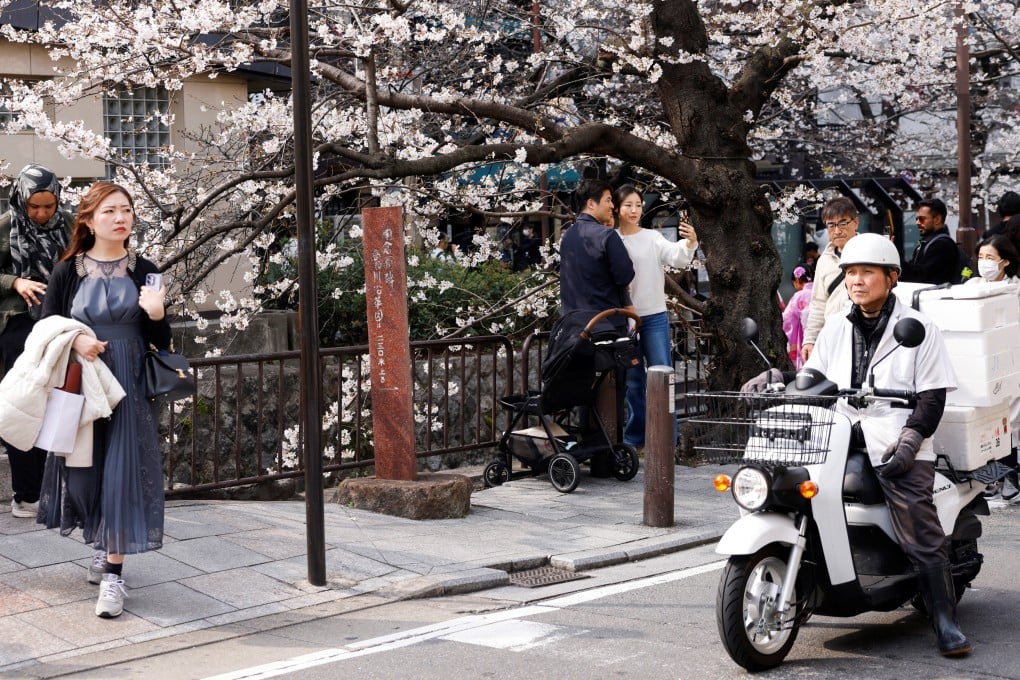 A rider has a phlegmatic manner as tourists crowd a street lined with blooming cherry blossom trees in Kyoto on March 28. Japan received 42.7 million international visitors in 2025. Photo: Reuters