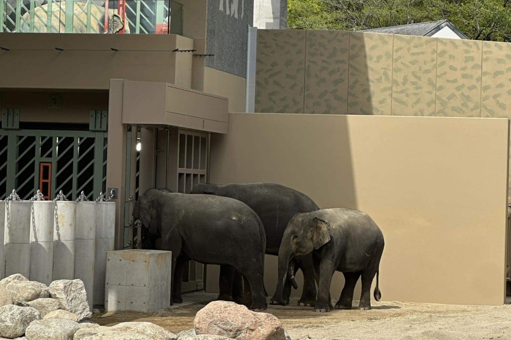 The three Malaysian elephants were sent to Osaka’s Tennoji Zoo last month. Photo: Facebook/mazlanzonan