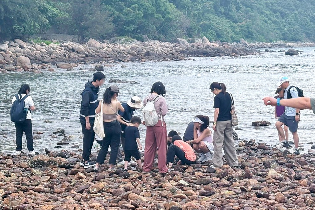 Visitors collect crabs and shells at Sharp Island in Sai Kung. Photo: Eric Jiang