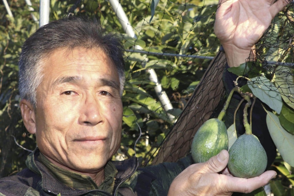 Fuminori Arita shows off avocados grown in his orchard in Matsuyama, Ehime prefecture. Photo: Kyodo