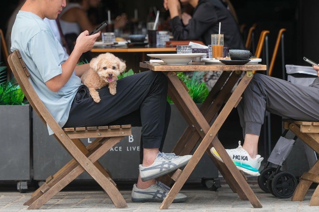 Hong Kong restaurants will be able to apply for licences from May 18 to allow dogs under a new scheme. Photo: Sam Tsang