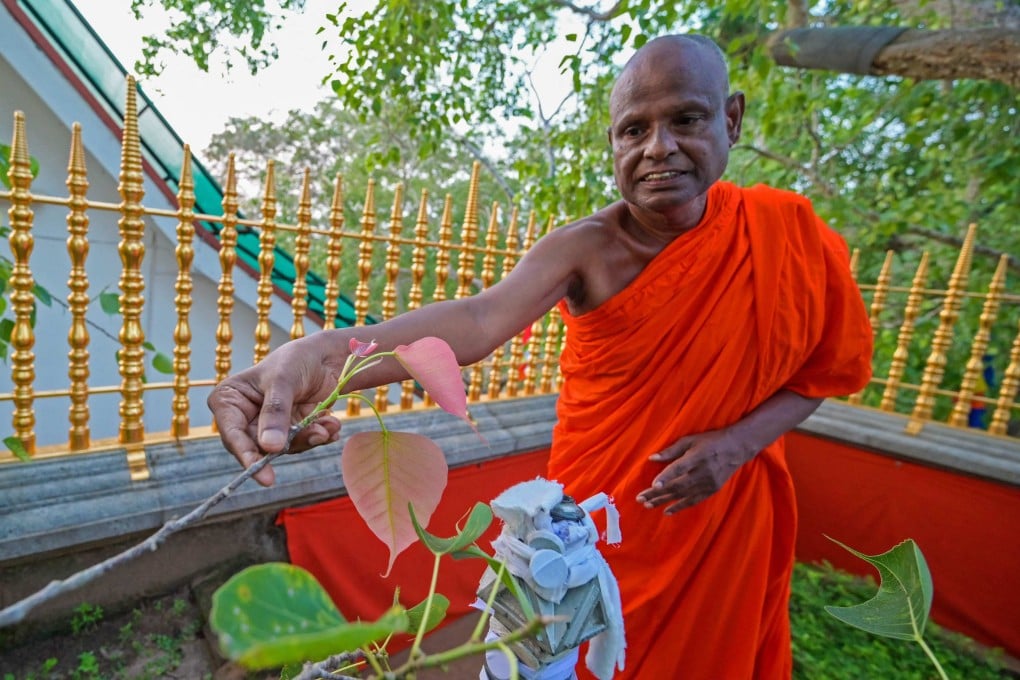 Senior Sri Lankan Buddhist monk Pallegama Hemarathana. File photo: AFP