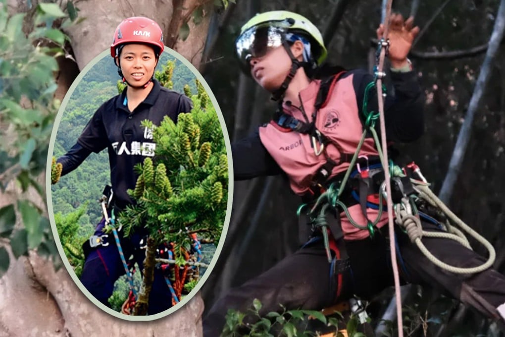 China’s first female professional tree climber,  who was once an elite runner afraid of heights, has transformed her fear into a successful career, winning awards and teaching the craft. Photo: SCMP composite/QQ.com
