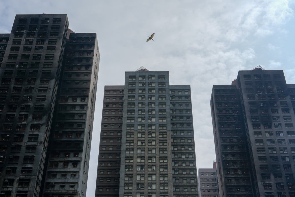 Wang Fuk Court in Tai Po. Photo: Sam Tsang
