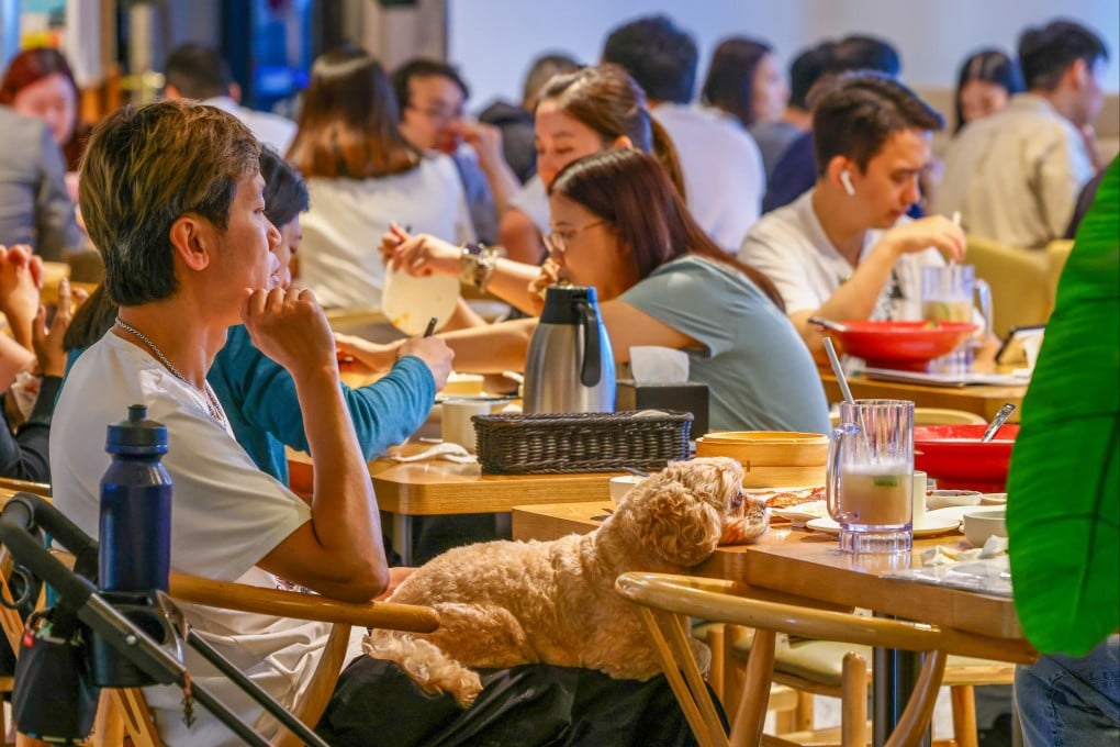 Hong Kong’s dog-friendly dining scheme got off to a strong start with 700 applications for licences on the first day. Photo: Dickson Lee